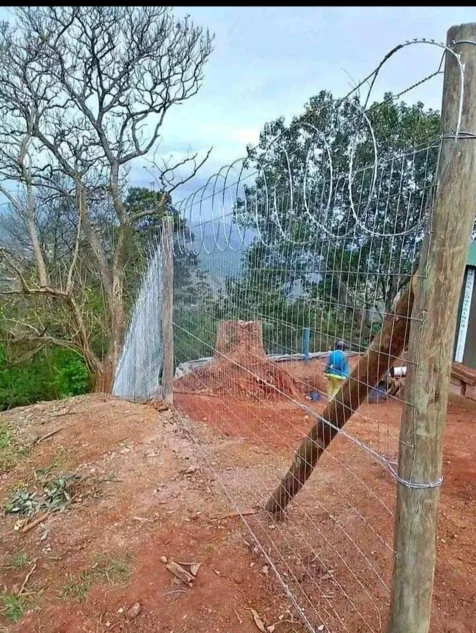 Francis Fencing Services