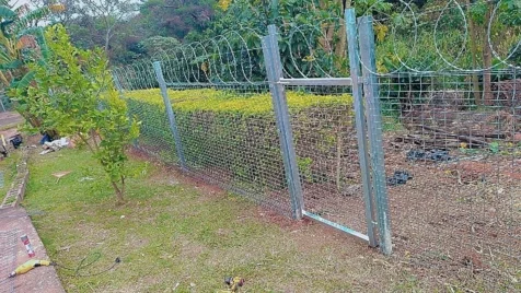 Francis Fencing Services