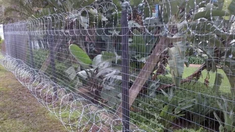 Francis Fencing Services