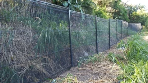 Francis Fencing Services