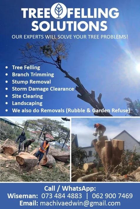 Tree Felling Solutions, KwaZulu-Natal