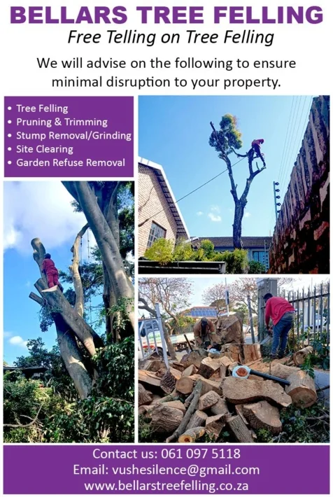 Bellars Tree Felling, KwaZulu-Natal