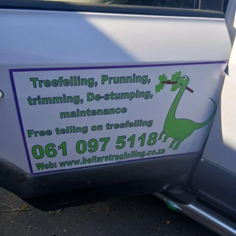 Bellars Tree Felling