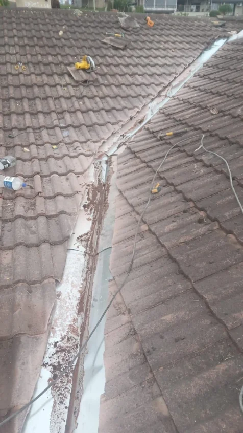 SWD Renovation Expert