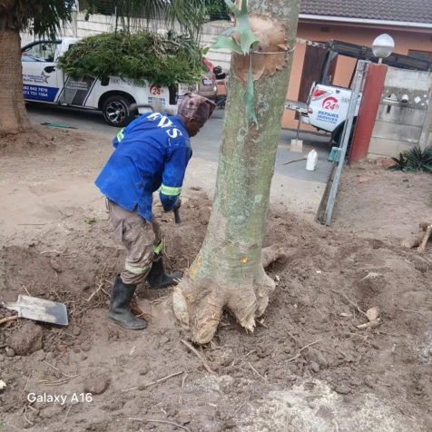 Chris' Tree Fellers & Garden Services