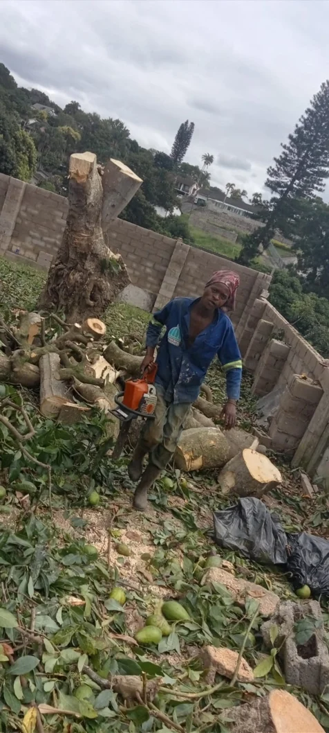 Chris' Tree Fellers & Garden Services