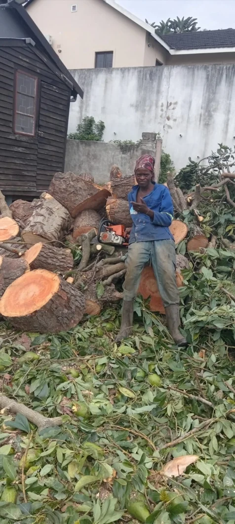 Chris' Tree Fellers & Garden Services