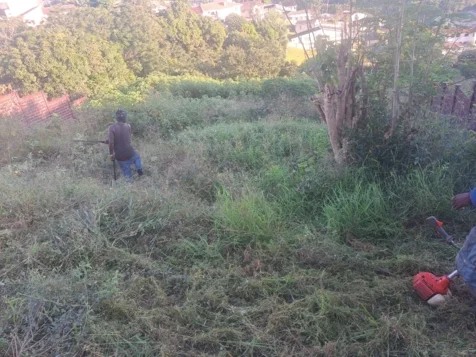 Chris' Tree Fellers & Garden Services