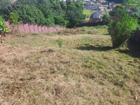 Chris' Tree Fellers & Garden Services