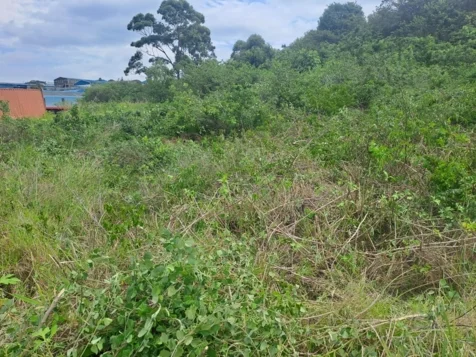 Chris' Tree Fellers & Garden Services