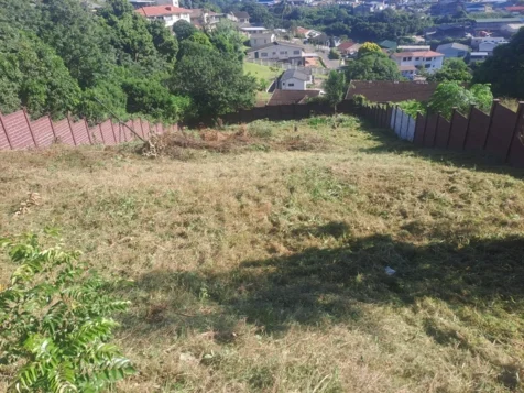 Chris' Tree Fellers & Garden Services