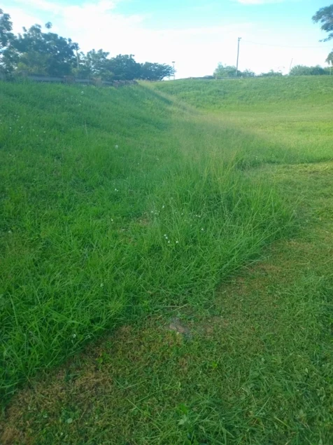 Chris' Tree Fellers & Garden Services