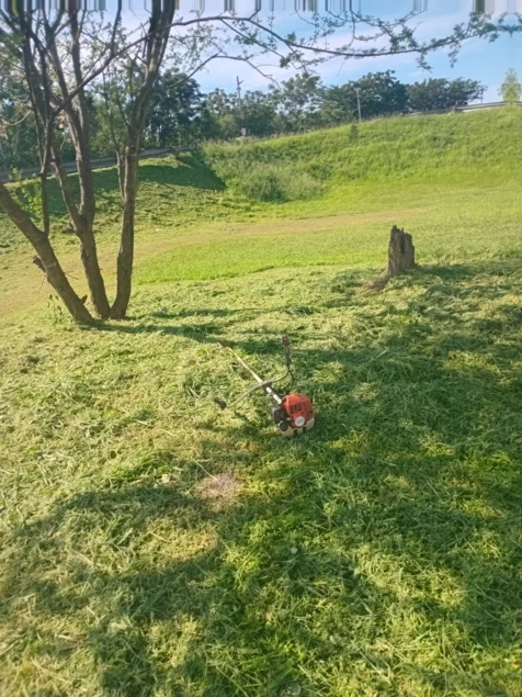 Chris' Tree Fellers & Garden Services