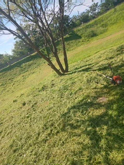 Chris' Tree Fellers & Garden Services