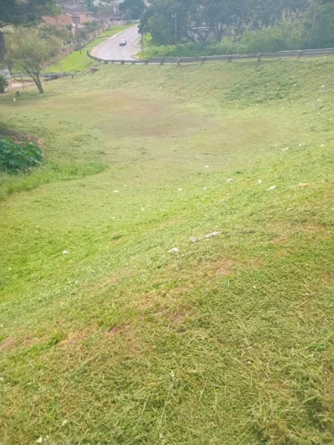 Chris' Tree Fellers & Garden Services