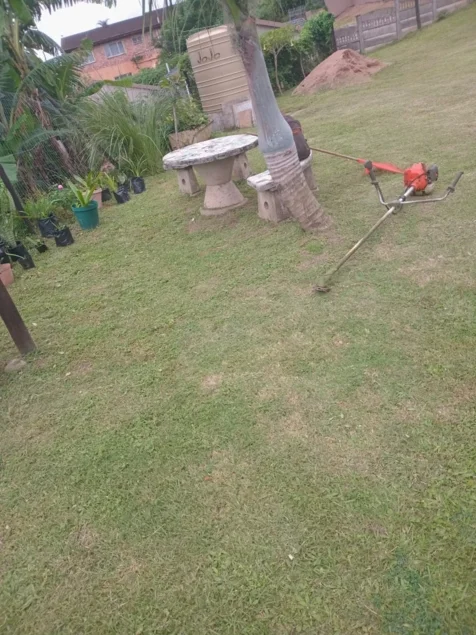 Chris' Tree Fellers & Garden Services