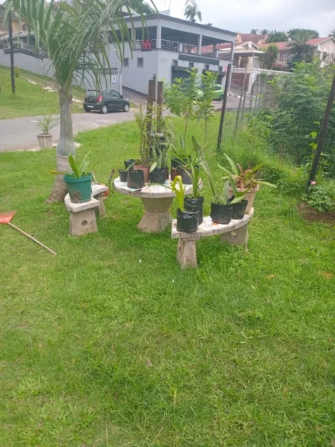 Chris' Tree Fellers & Garden Services