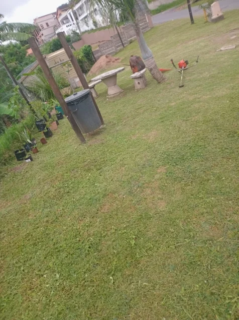 Chris' Tree Fellers & Garden Services