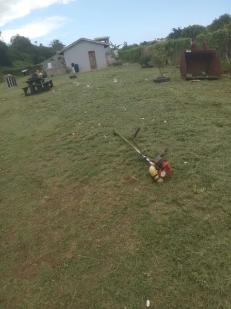 Chris' Tree Fellers & Garden Services