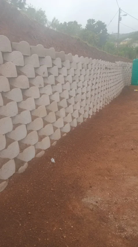 Professional Driveways & Walls